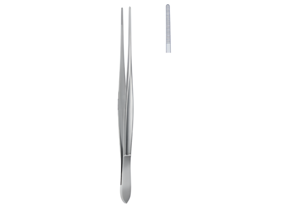 Dissecting and Tissue Forceps R-1236