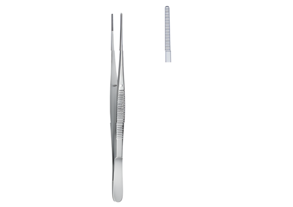 Dissecting and Tissue Forceps R-1239