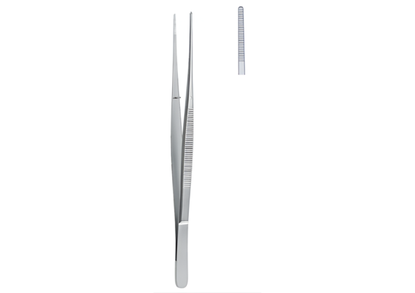 Dissecting and Tissue Forceps R-1242