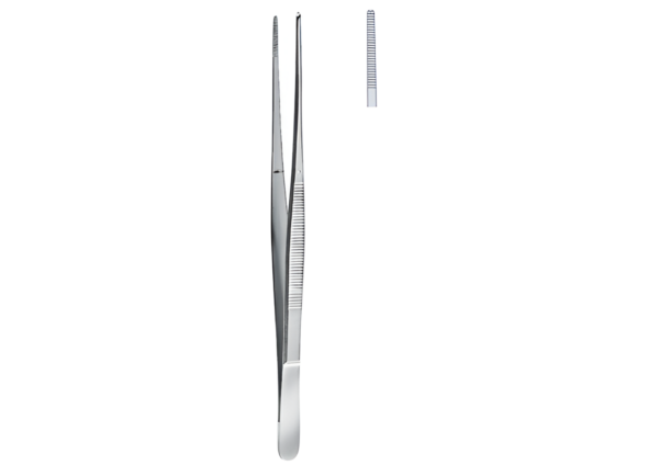 Dissecting and Tissue Forceps R-1244