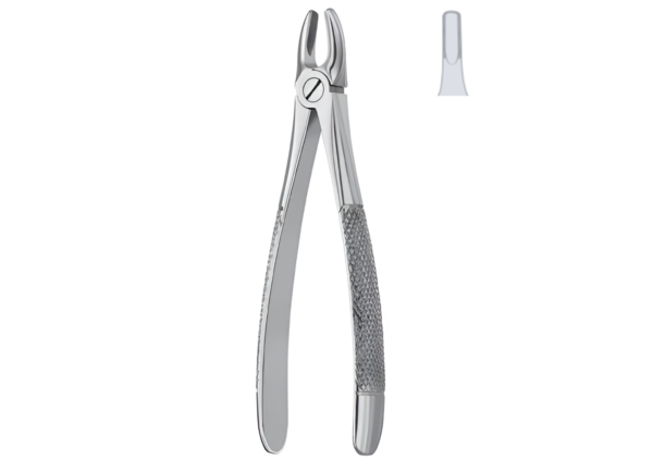 Extracting forceps (English pattern) R-1657