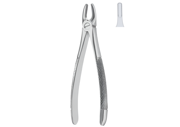 Extracting forceps (English pattern) R-1658