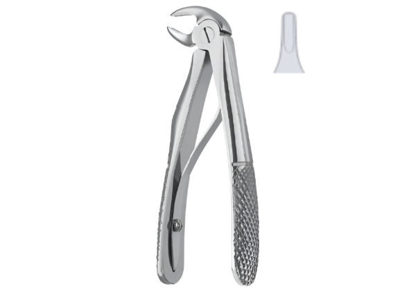 Extracting Forceps (Children English Pattern) R-1775