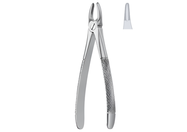 Extracting forceps (English pattern) R-1668