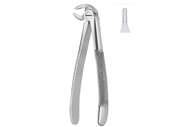 Extracting forceps (English pattern) R-1669