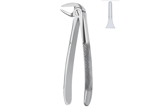 Extracting forceps (English pattern) R-1672