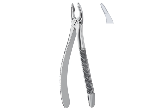 Extracting forceps (English pattern) R-1674