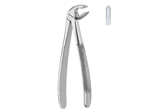 Extracting forceps (English pattern) R-1675