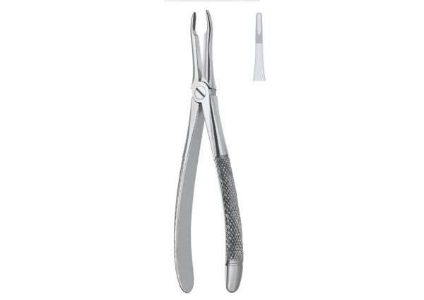 Extracting forceps (English pattern) R-1676