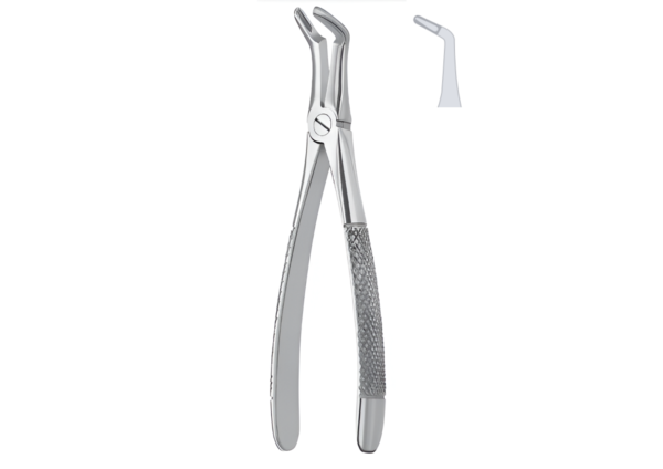 Extracting forceps (English pattern) R-1677