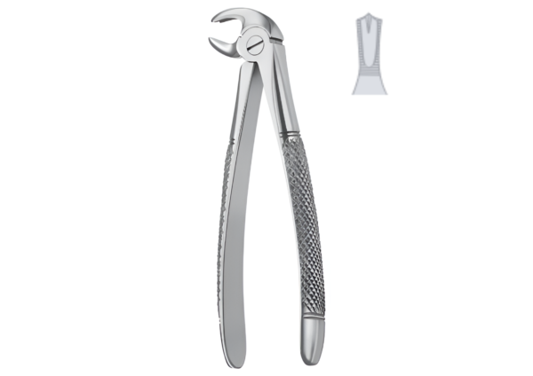 Extracting Forceps (Children English Pattern) R-1779