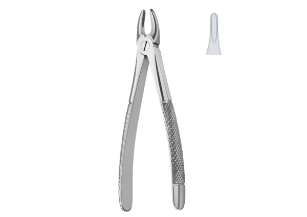 Extracting Forceps (Children English Pattern) R-1780