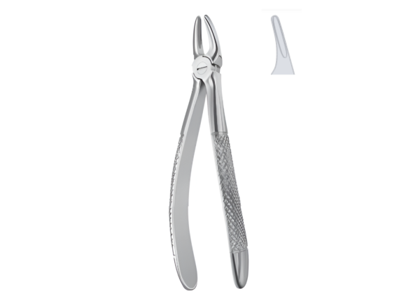 Extracting Forceps (Children English Pattern) R-1781