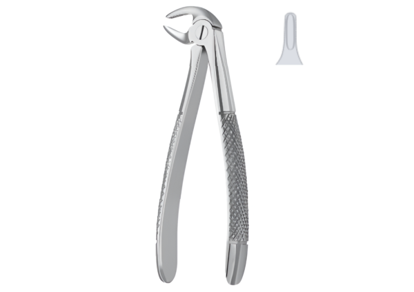 Extracting Forceps (Children English Pattern) R-1782