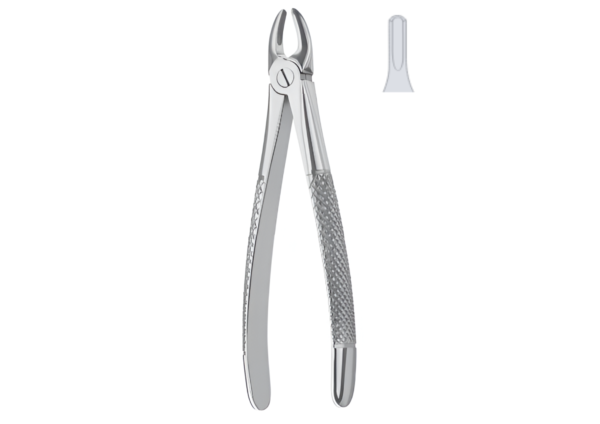 Extracting Forceps (Children English Pattern) R-1783
