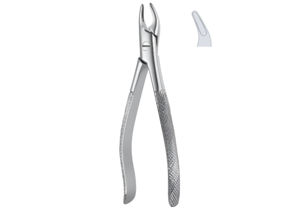 Extracting Forceps (Children English Pattern) R-1792