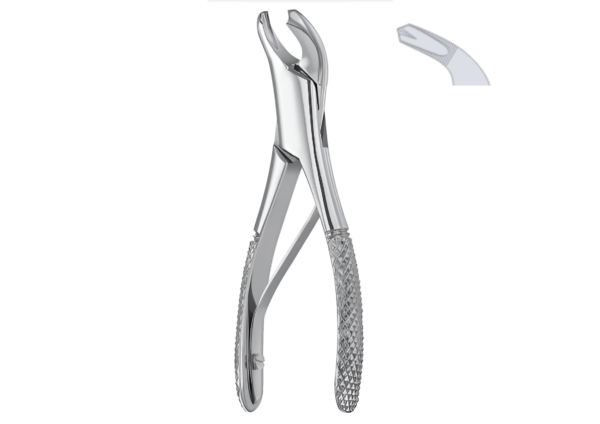Extracting Forceps (Children American Pattern) R-1804