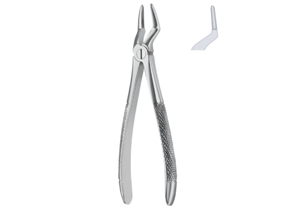 Extracting forceps (English pattern) R-1679