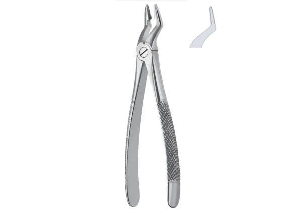 Extracting forceps (English pattern) R-1682