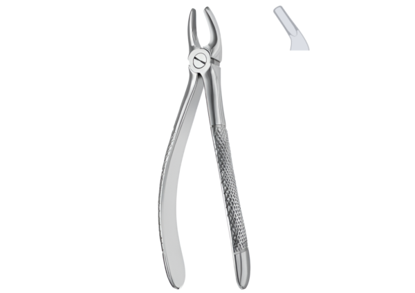 Extracting forceps (English pattern) R-1660