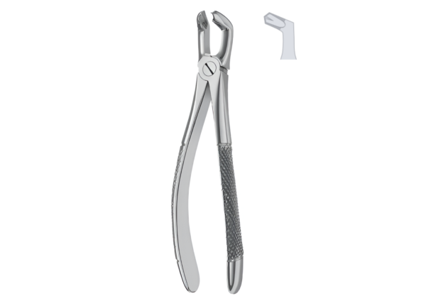 Extracting forceps (English pattern) R-1689