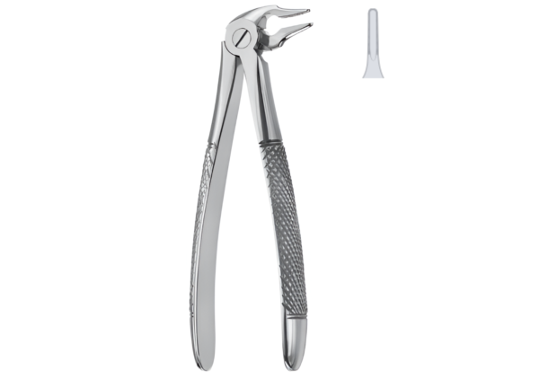 Extracting forceps (English pattern) R-1695