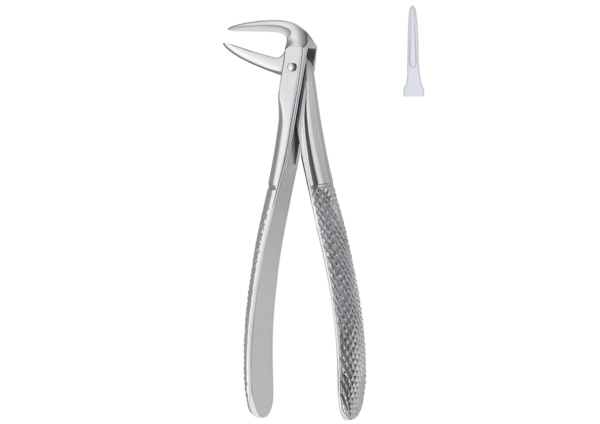 Extracting forceps (English pattern) R-1696