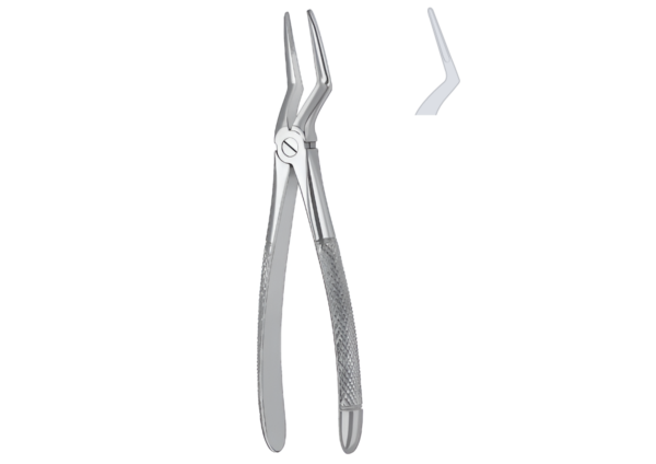 Extracting forceps (English pattern) R-1697