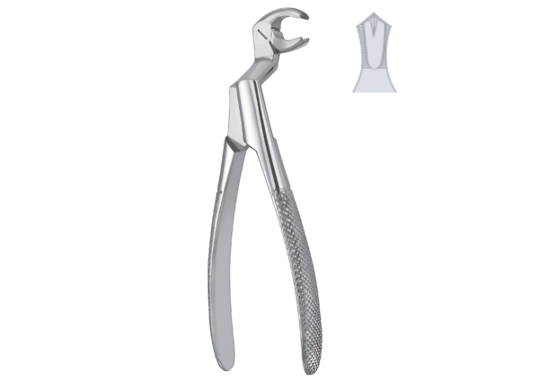 Extracting forceps (English pattern) R-1701