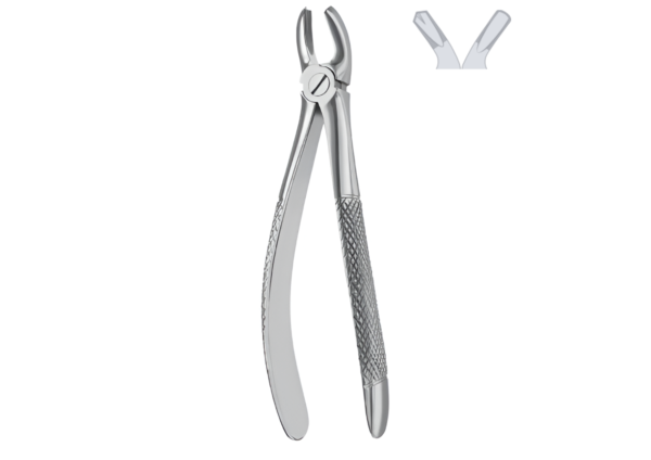 Extracting forceps (English pattern) R-1662
