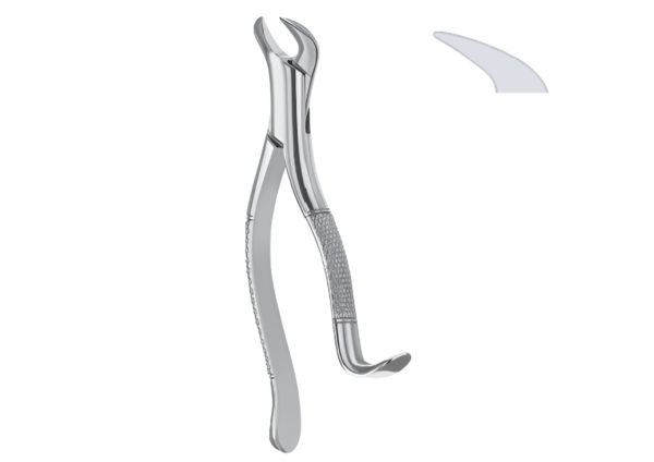 Extracting forceps (American pattern) R-1725