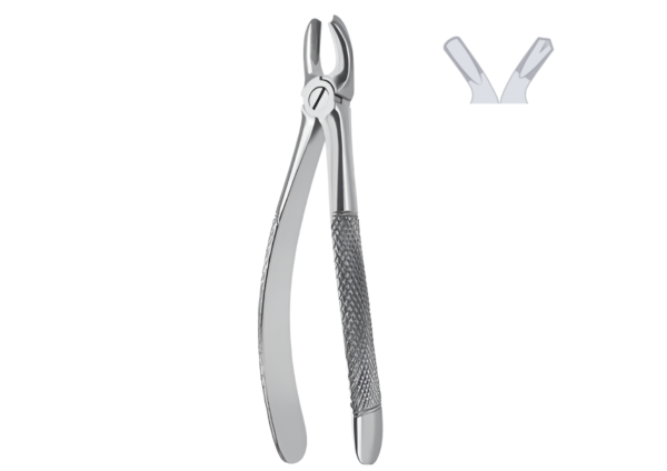 Extracting forceps (English pattern) R1663