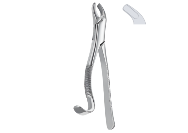 Extracting forceps (American pattern) R-1730