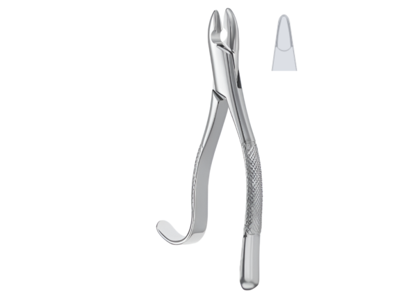 Extracting forceps (American pattern) R-1742