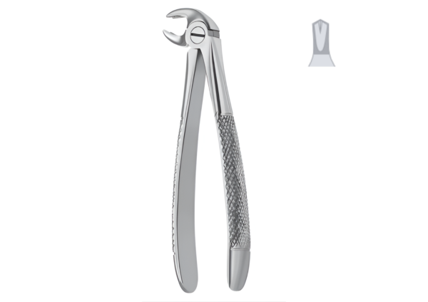 Extracting forceps (English pattern) R-1665