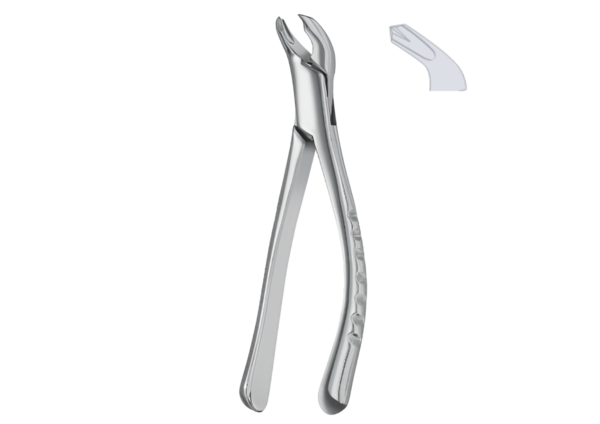 Extracting forceps (American pattern) R-1759
