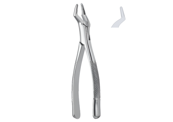 Extracting forceps (American pattern) R-1762