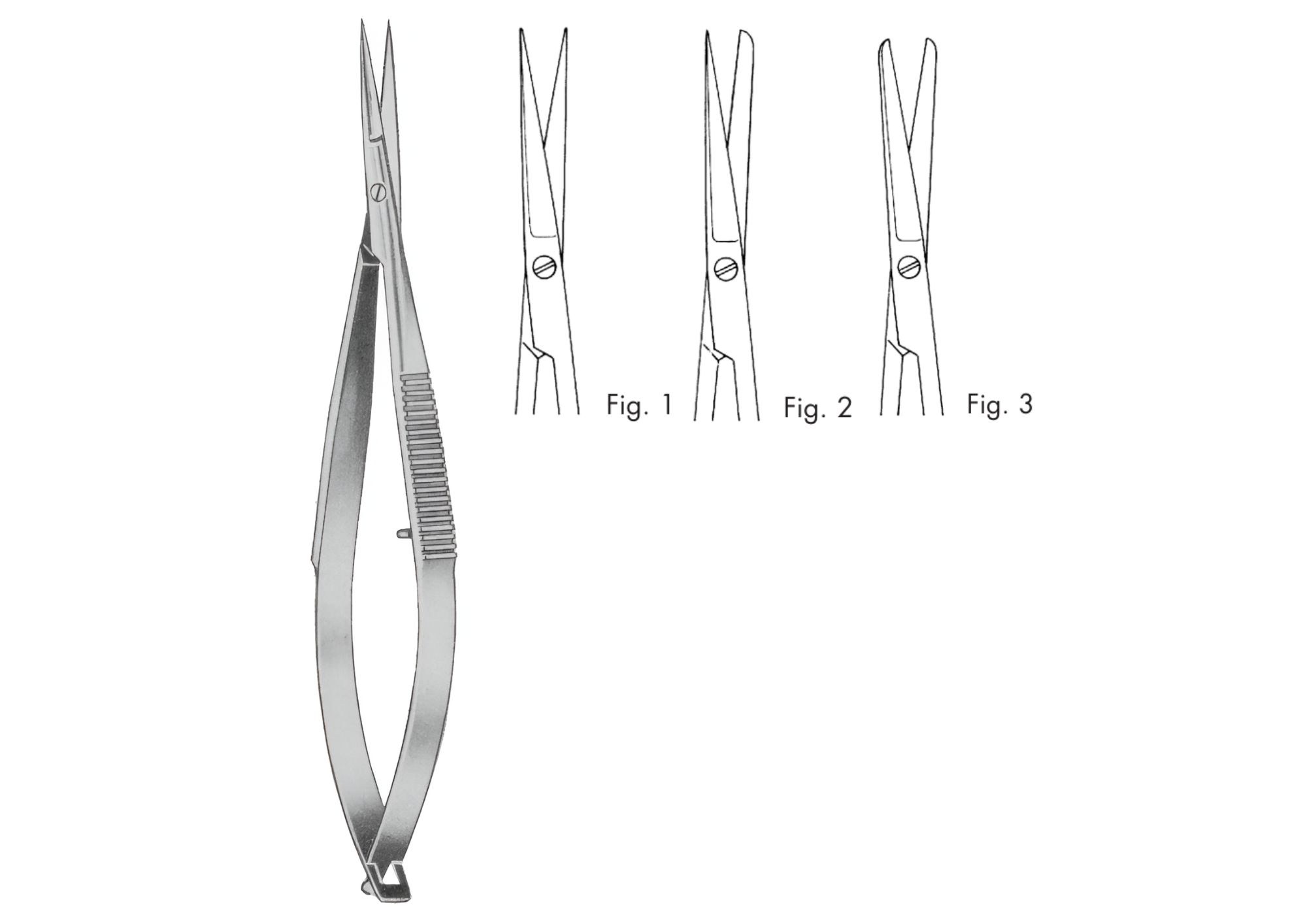 product_img1