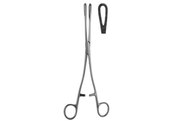 Dressing Forceps R-4526