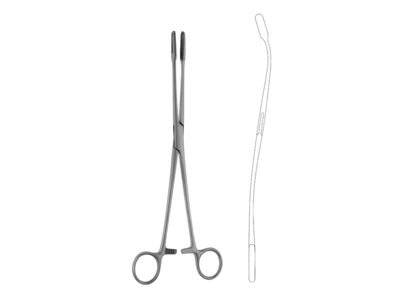 Dressing Forceps R-4527