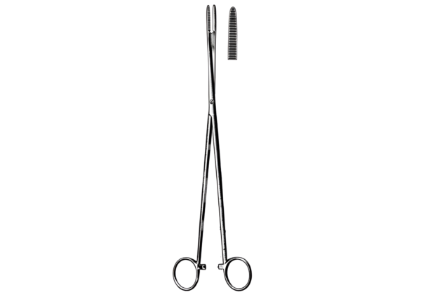 Dressing Forceps R-4535