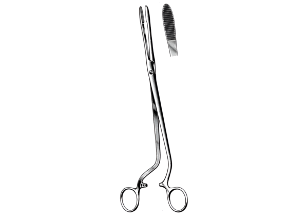 Dressing Forceps R-4537