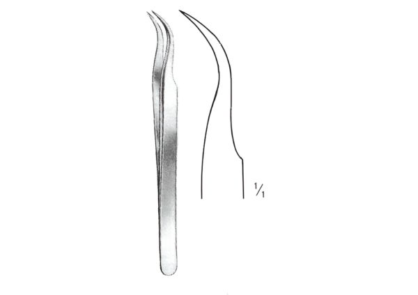 Tissue Forceps R-4093