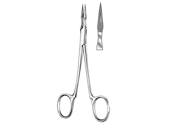 Tissue Forceps R-5008