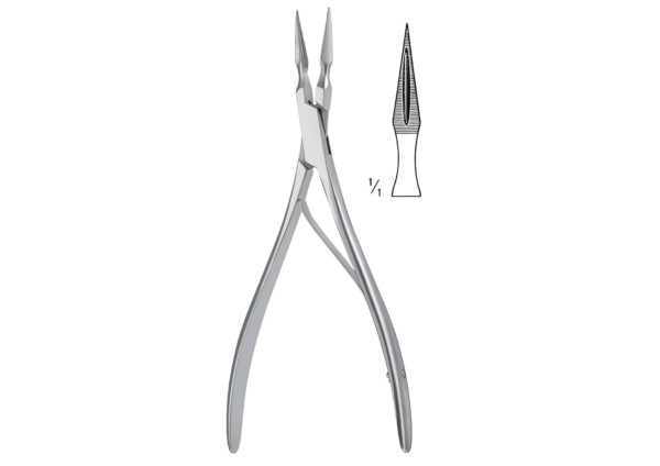 Tissue Forceps R-5010