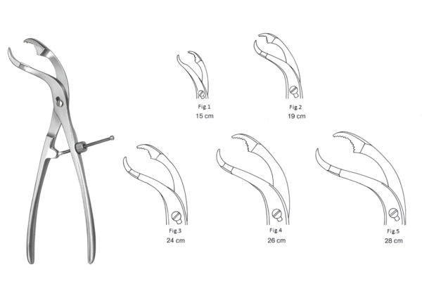 Bone Holding Forceps R-5314