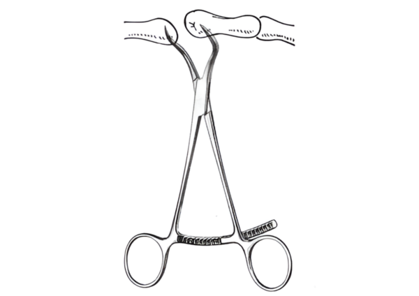 Bone Holding Forceps R-5327