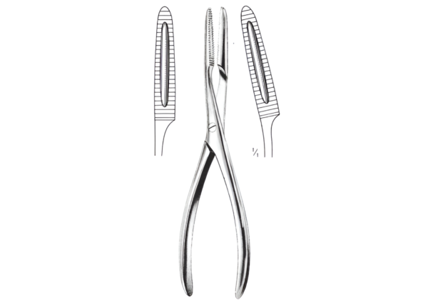 Bone Holding Forceps R-5329