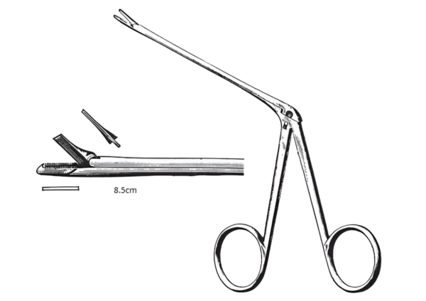 Ear Forceps R-6058