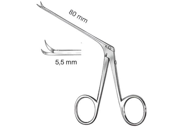 Ear Forceps R-6065